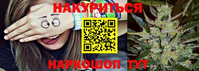индика Заводоуковск