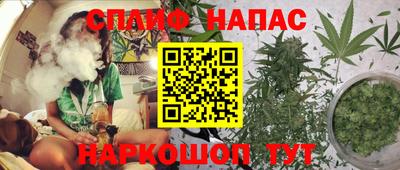 индика Заводоуковск