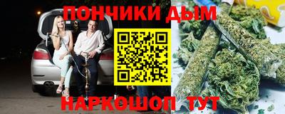 индика Заводоуковск