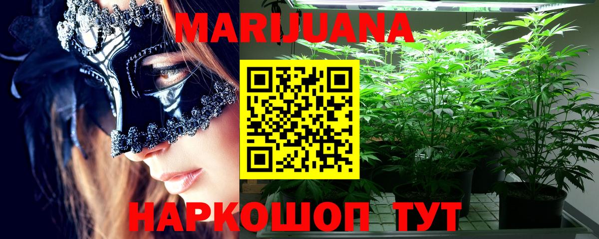 Лыткарино  Марихуана планчик  Вход с VPN  МАРИХУАНА OG Kush  Конопля сатива 